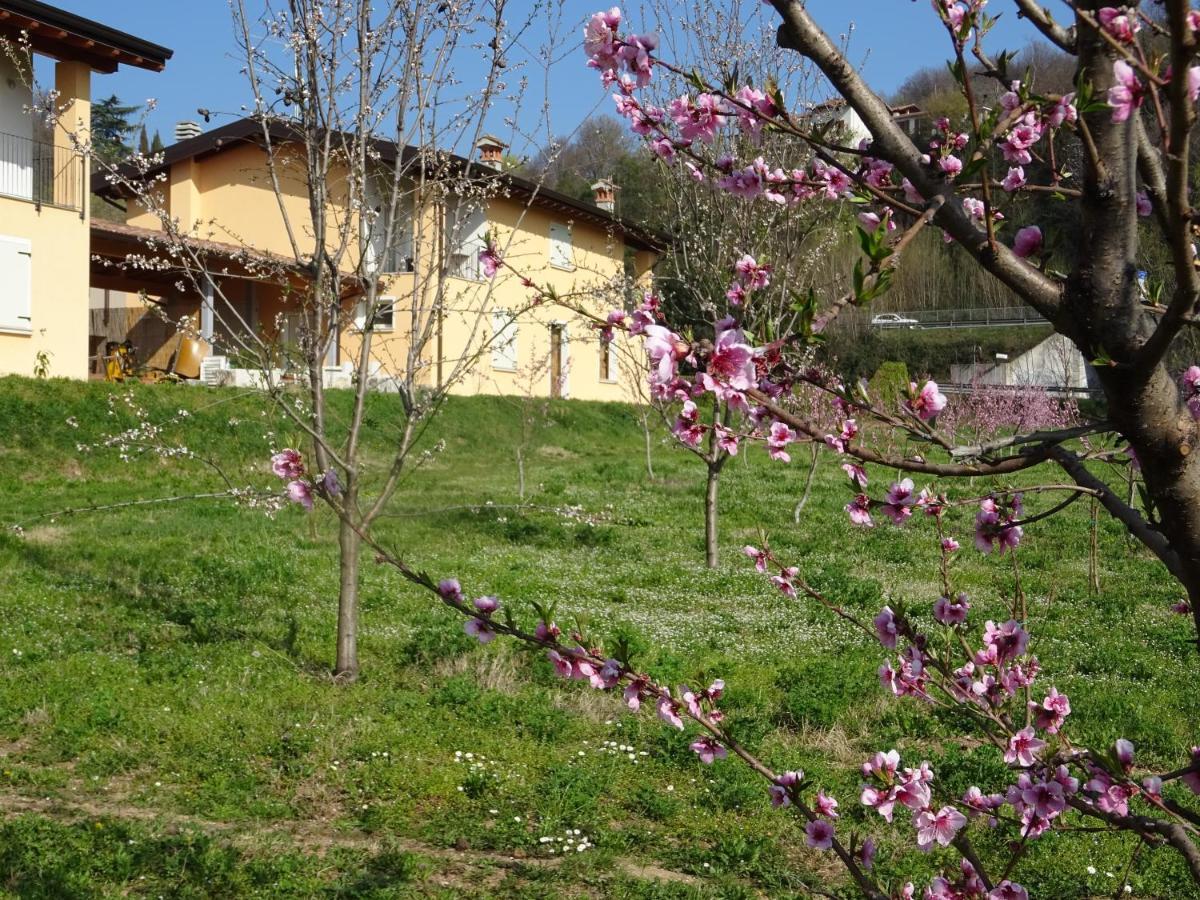 CASCINA LEGNAGO near Garda lake - trilocale Villanuova sul clisi Exterior foto