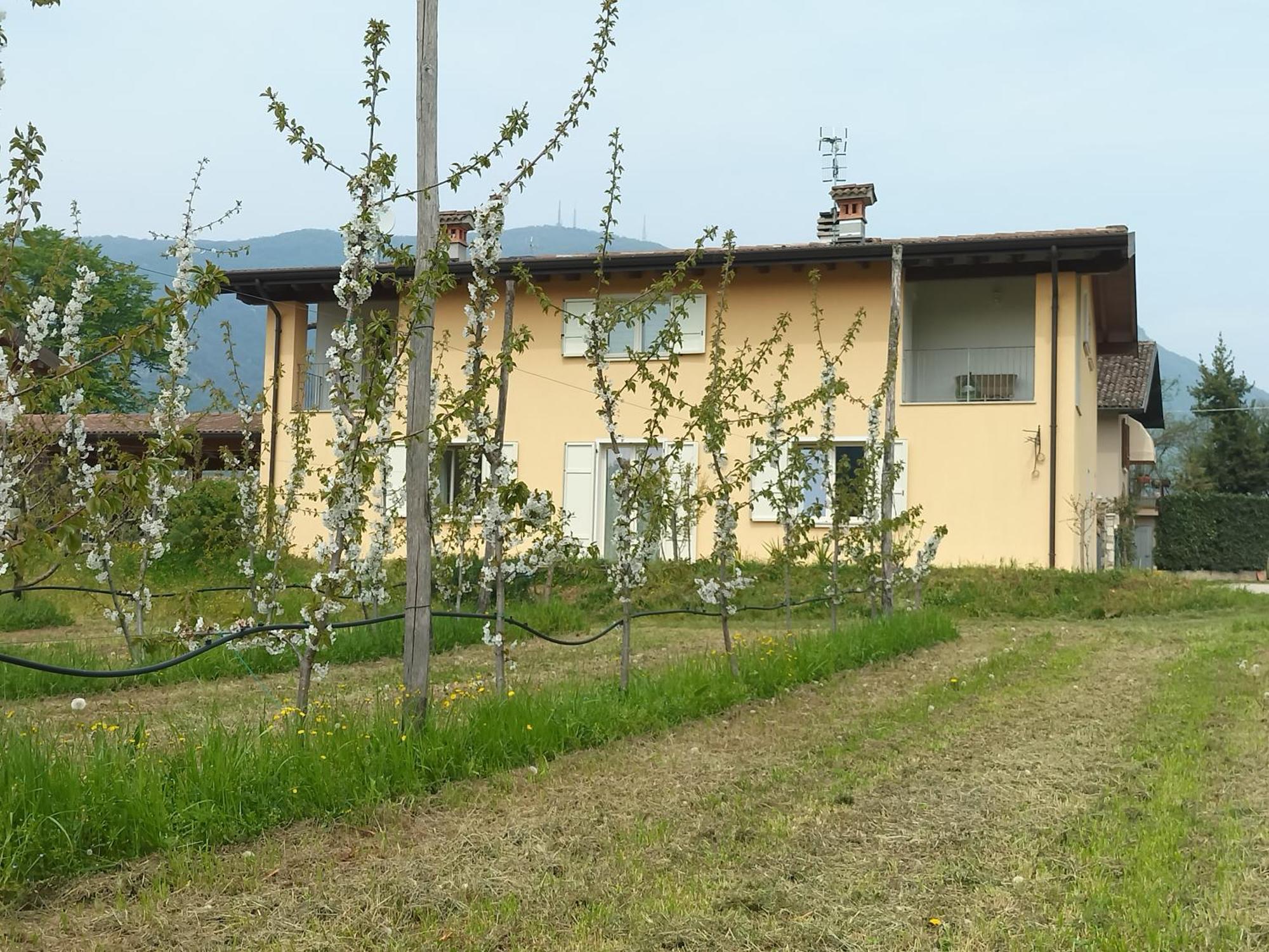 CASCINA LEGNAGO near Garda lake - trilocale Villanuova sul clisi Exterior foto