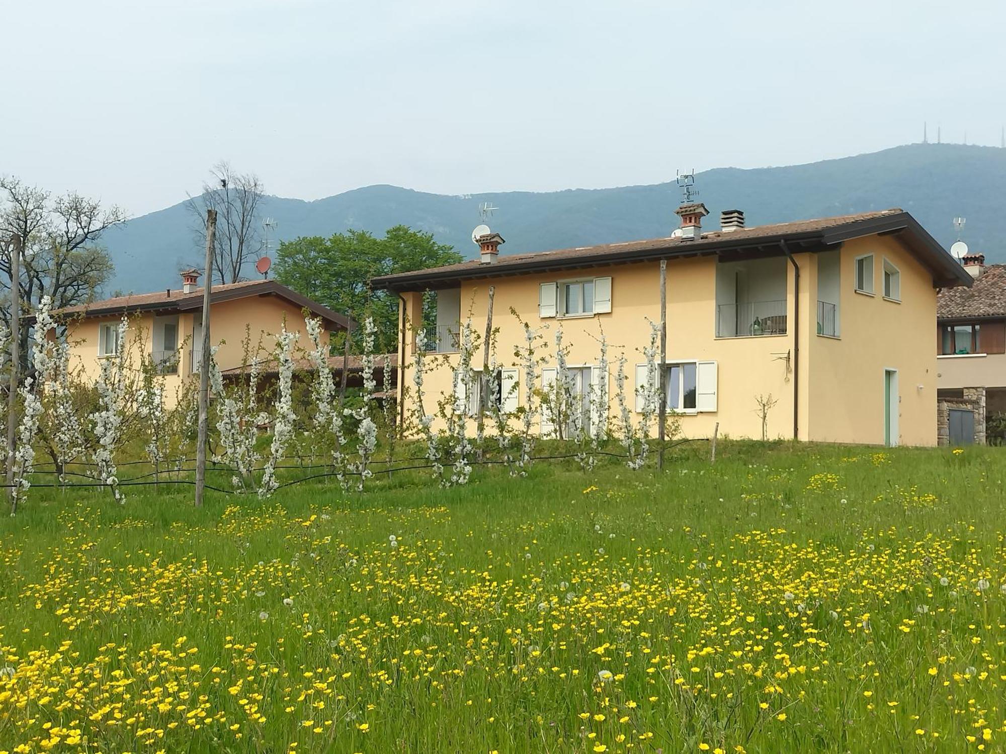 CASCINA LEGNAGO near Garda lake - trilocale Villanuova sul clisi Exterior foto