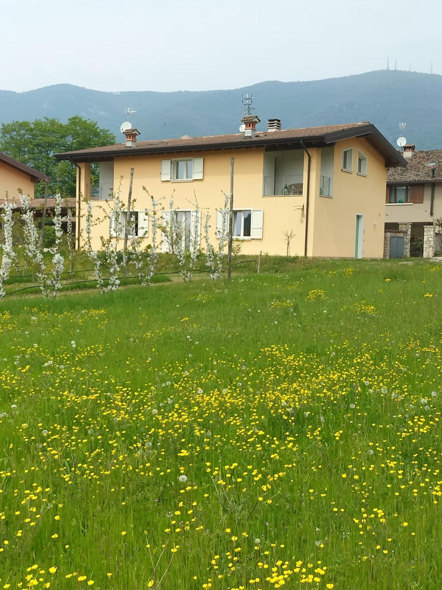 CASCINA LEGNAGO near Garda lake - trilocale Villanuova sul clisi Exterior foto